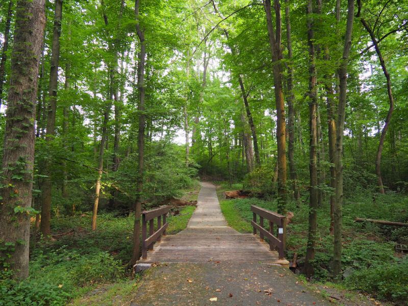 Reston nature trail and bridge